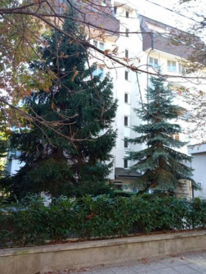 Apartment LOZENEC